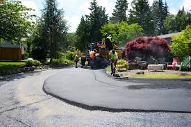 Professional Driveway Paving  in Doolittle, TX